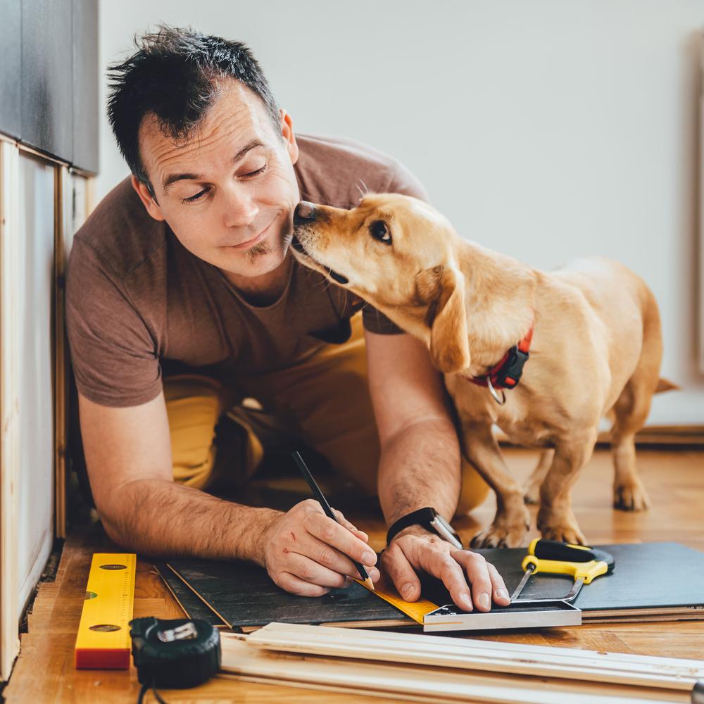 Pet Safety Tips For Arts and Crafts